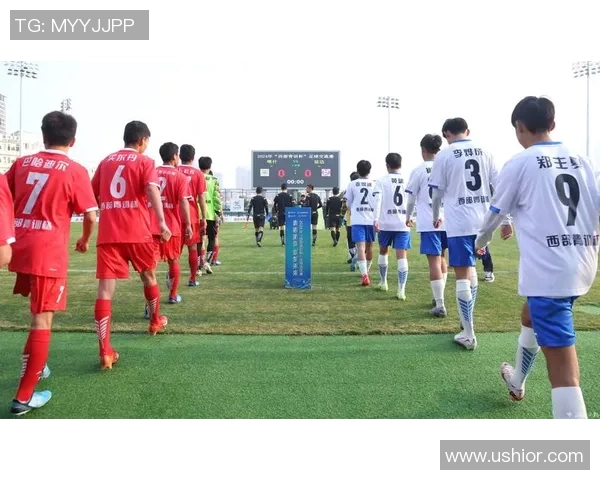 中国足球协会推进改革加强青训体系建设提升国内足球水平的战略举措 中国足球协会推进改革加强青训体系建设提升国内足球水平的战略举措