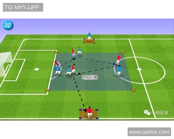 足球职业生涯全景解析 从青训到巅峰成就的成长历程与挑战