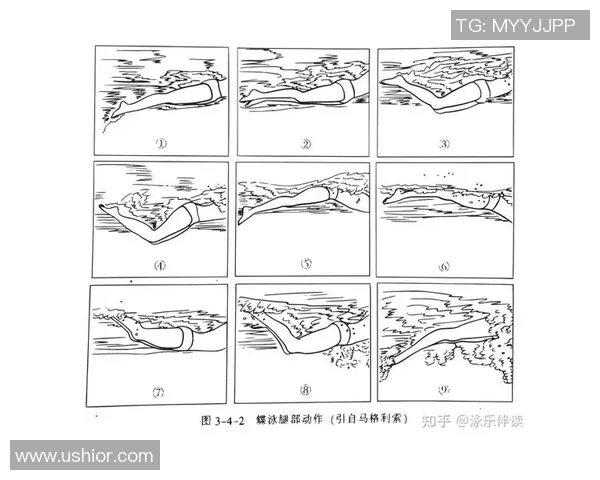 蝶泳技术要领全面解析从入水到出水的动作细节与训练方法 蝶泳技术要领全面解析从入水到出水的动作细节与训练方法