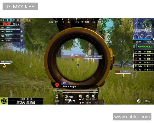 和平精英深度解析:TES战队灵活战术与应变能力的全面剖析 和平精英深度解析:TES战队灵活战术与应变能力的全面剖析