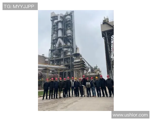 武汉极限运动队灵活性分析及其对比研究探讨 武汉极限运动队灵活性分析及其对比研究探讨