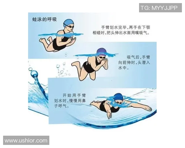 蛙泳对提高心肺功能和增强全身肌肉力量的多重健康益处分析