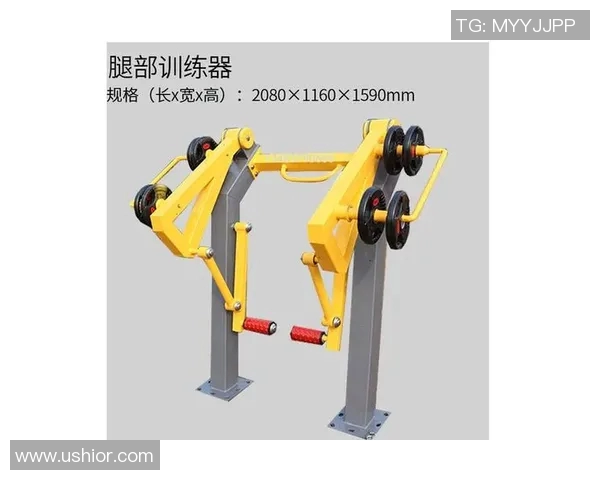 高拉力训练器使用技巧与肩部力量增强全面指南 高拉力训练器使用技巧与肩部力量增强全面指南